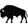 Majestic bison symbol