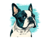 Boston terrier comic cartoon style