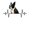 Boston Terrier Dog Heartbeat