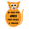 Chat enrobé mignon