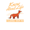 Fuchs Geschenk Rotfuchs