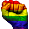 Fist Gay flag