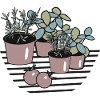 Herb garden