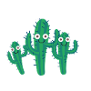 Cactus Family,Mexico,Cacti, Family