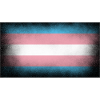 Trans Flagge