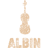 Violoncelle Violon Orchestre Albin