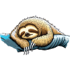Official sleeping sloth sleeping shirt