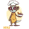 Herdmännchen Erdmännchen Koch