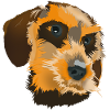 Dackel