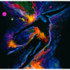 Bunt
