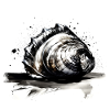 Elegant shell illustration