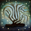 old tree in the stars
