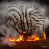 old tree burns