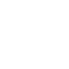 Chainsaw Kettensäge Evolution