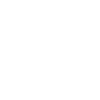 Airline Pilot