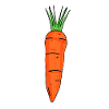 Carrot motif