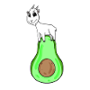 Chèvre sur avocat