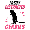 Distracted by gerbil rodent