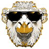 Cool llama with sunglasses