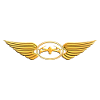 Drone Flying - Drone Pilot