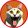 Happy Kitty