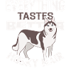 Siberian Husky