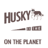Siberian Husky