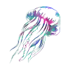 Jellyfish Marine Diving Jellyfish