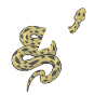 Letter to snake
