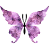 Papillon rose