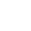 Butterfly white