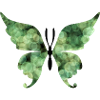Butterfly green