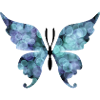 Butterfly blue