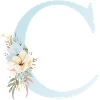 Customizable Monogram C Floral