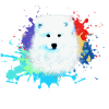 samojede, hund ,graffiti,malerei wolf,pastell,bunt