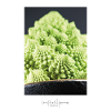 Romanesco