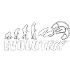 EVOLUTION KITESURF Meer Urlaub Geschenk
