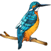 Oiseau