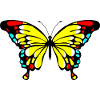 Papillon