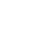 Esquisse du cheval blanc