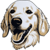 Golden Retriever Dog Lover