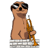 Trumpet Trumpet Player