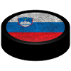 Team Slovenia Hockey Puck