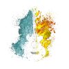 Guitare Fire et Water
