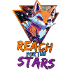 CYBER FOX
