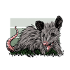 Opossum Trash Opossum Retro