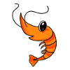 Shrimp Shrimp