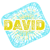 Hobby David