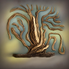 beautiful old tree