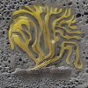 tree growing on a moon